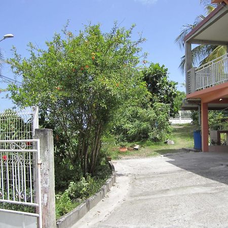 Villa Zannanas 勒迪亚芒 外观 照片