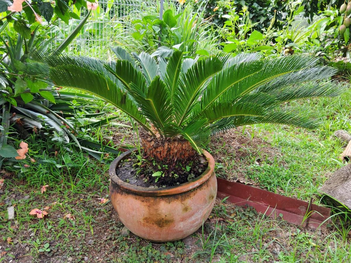 Villa Zannanas 勒迪亚芒 外观 照片