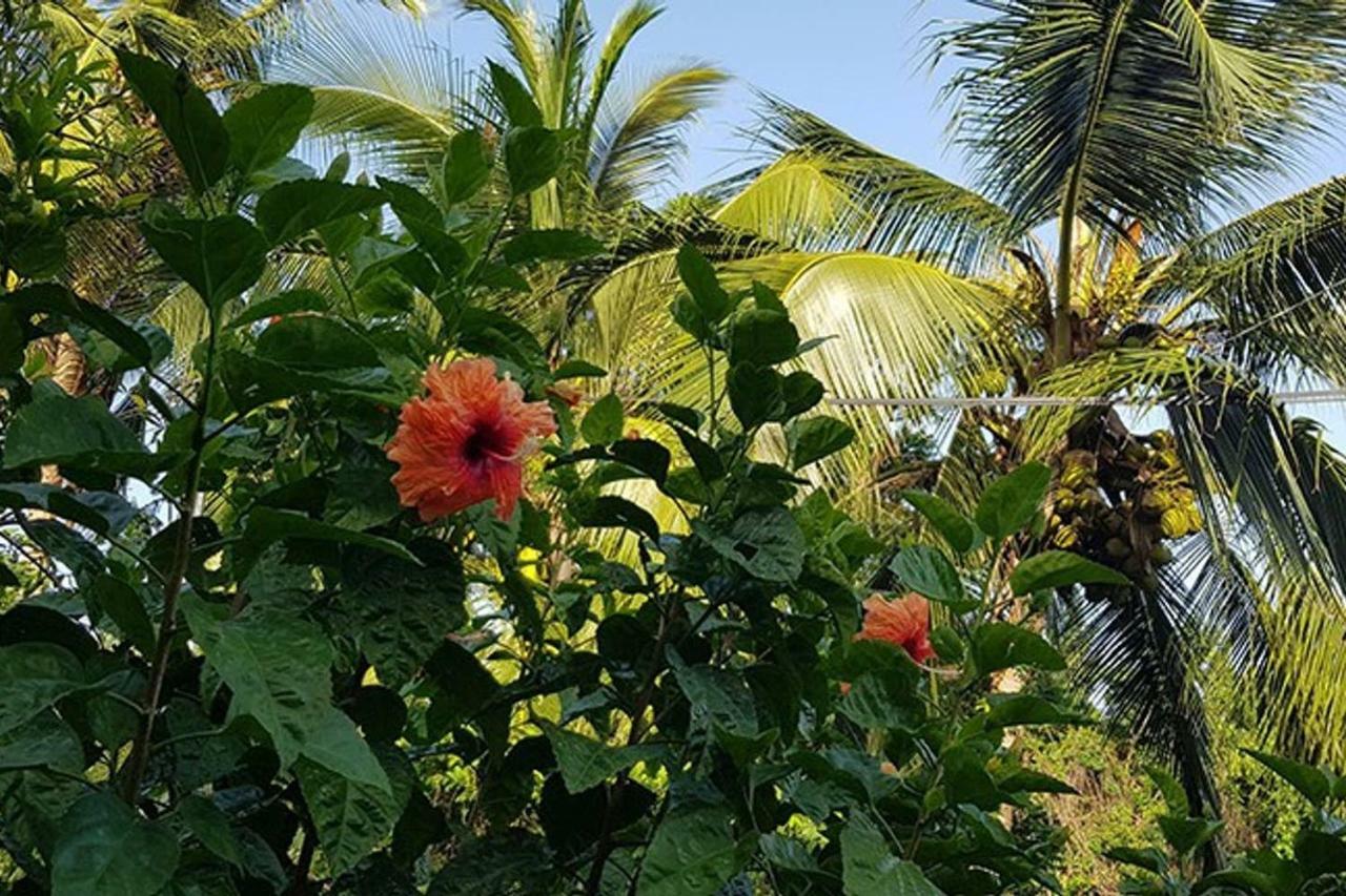 Villa Zannanas 勒迪亚芒 外观 照片