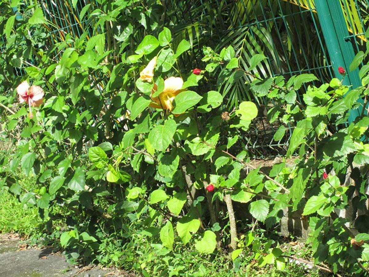 Villa Zannanas 勒迪亚芒 外观 照片